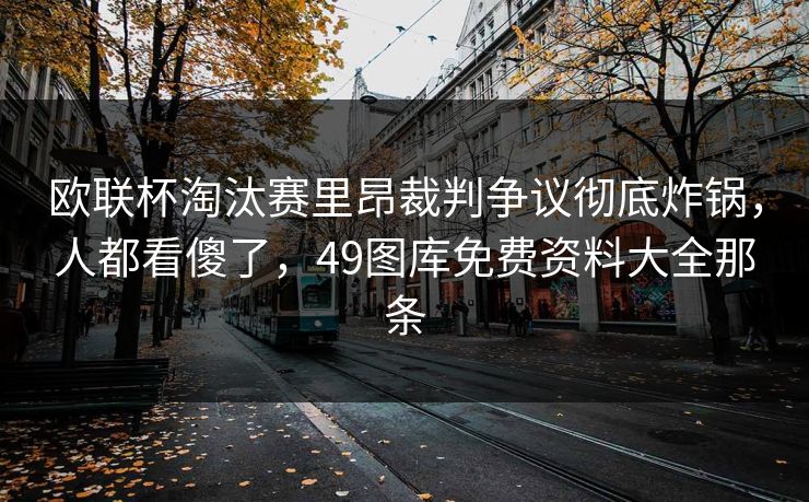 欧联杯淘汰赛里昂裁判争议彻底炸锅，人都看傻了，49图库免费资料大全那条