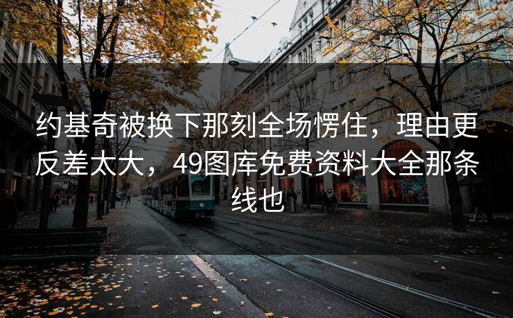 约基奇被换下那刻全场愣住，理由更反差太大，49图库免费资料大全那条线也