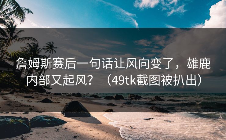 詹姆斯赛后一句话让风向变了，雄鹿内部又起风？（49tk截图被扒出）