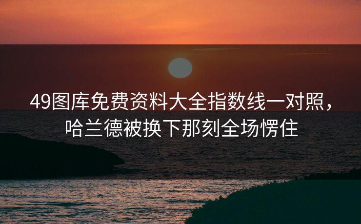 49图库免费资料大全指数线一对照，哈兰德被换下那刻全场愣住