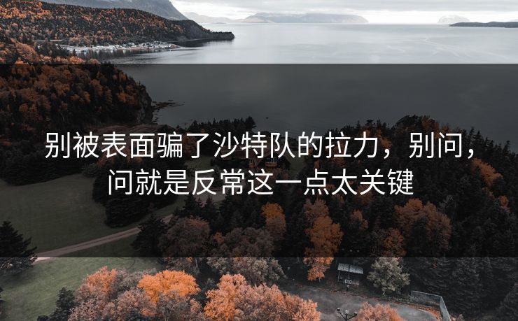 别被表面骗了沙特队的拉力，别问，问就是反常这一点太关键